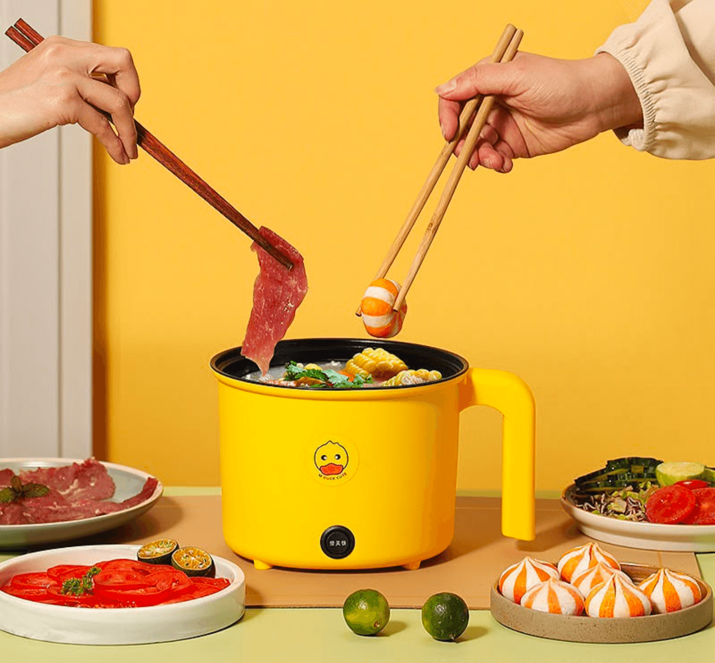 mini multi cooker